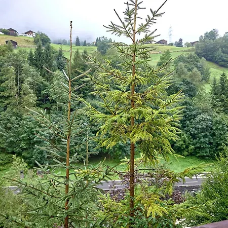 Alt Montafon By Pferd Auf Wolke 3*